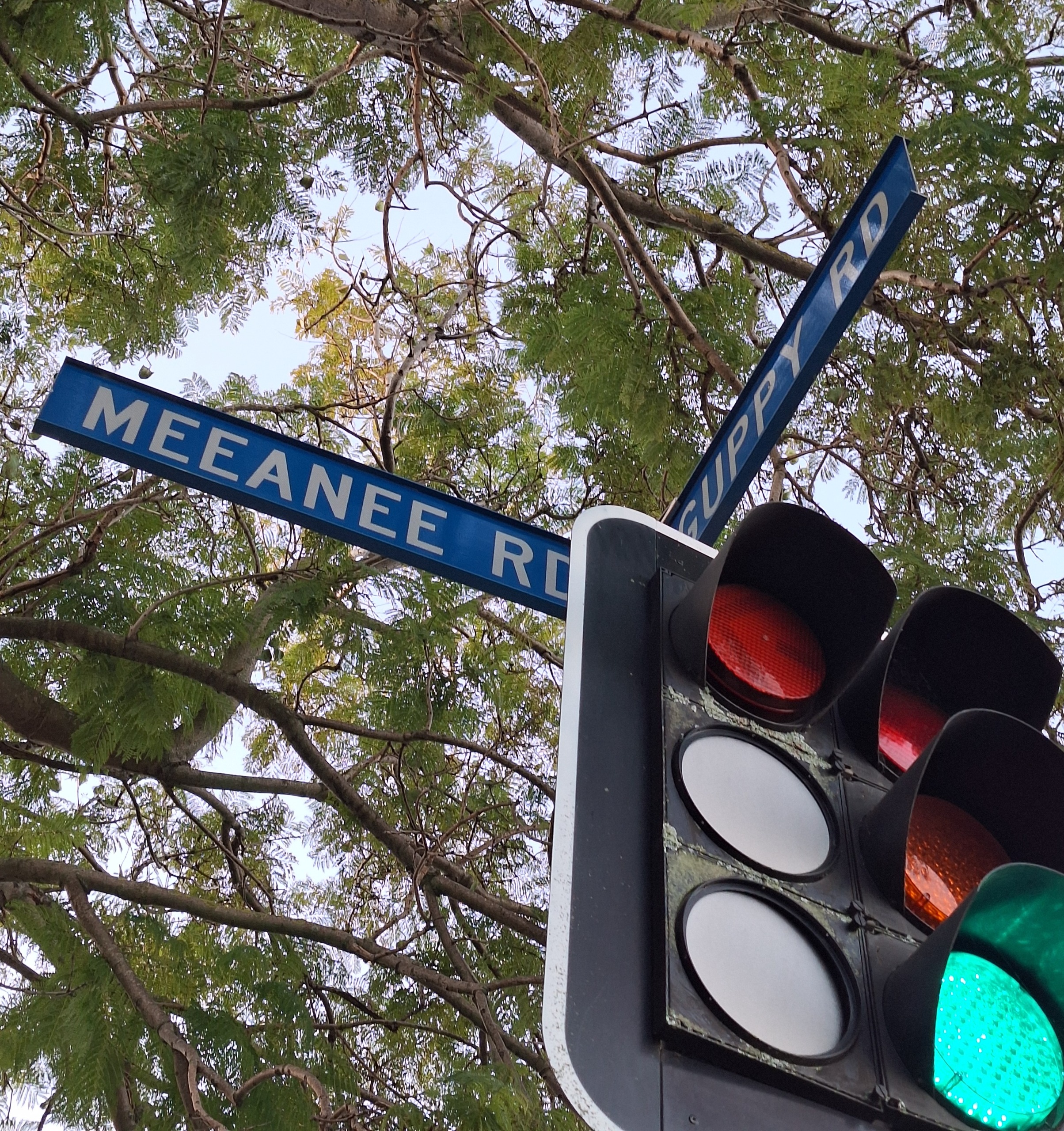 Meeanee Road Guppy Road sign